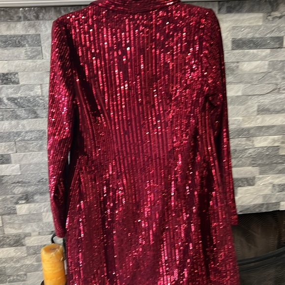 City Vibes double breasted, velvet sequence, blazer, and coat - Picture 4 of 7